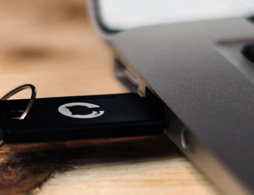 Removable Media and Transient Device Program